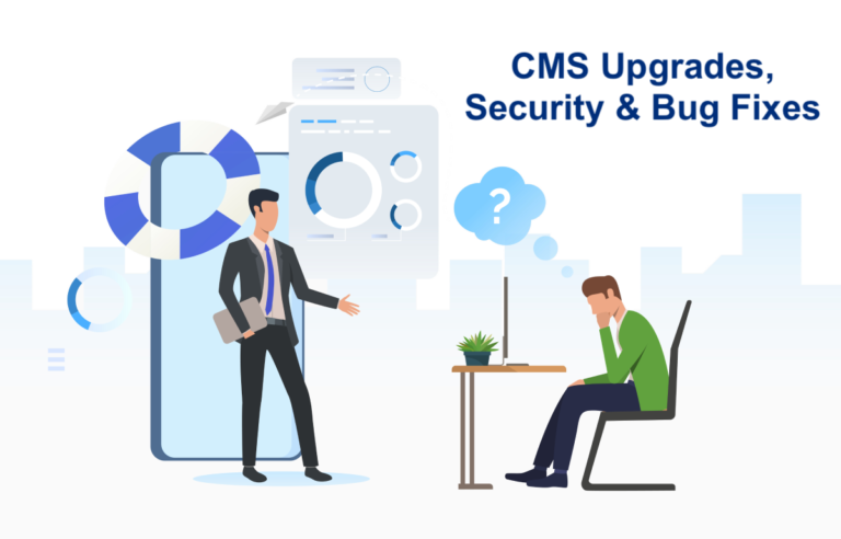 Malaysia CMS Software Bugs Upgrades Support